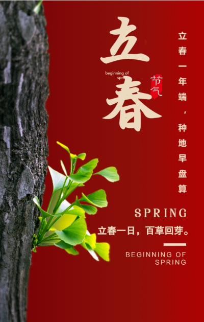 立春红色树木手机海报