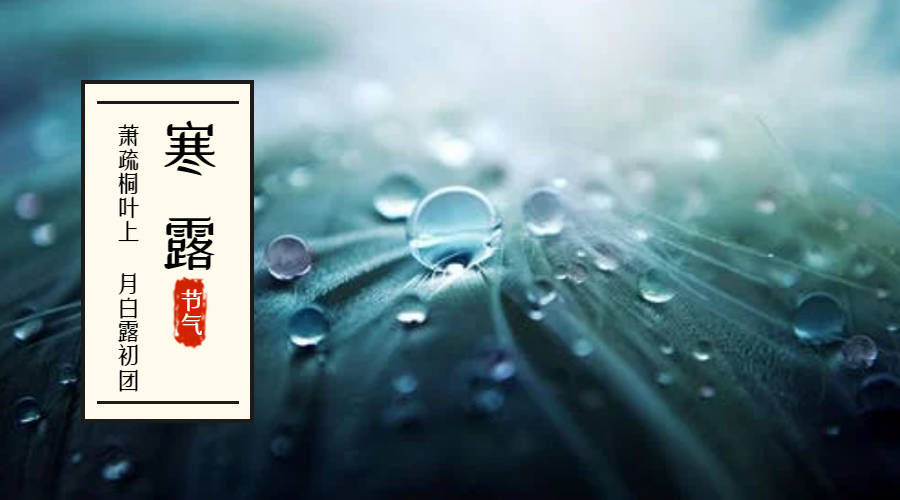 寒露-二十四节气微信横板海报