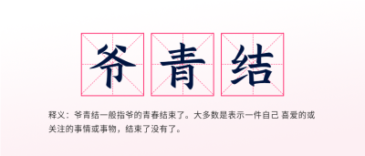 爷青结网络热词释义田字格首图