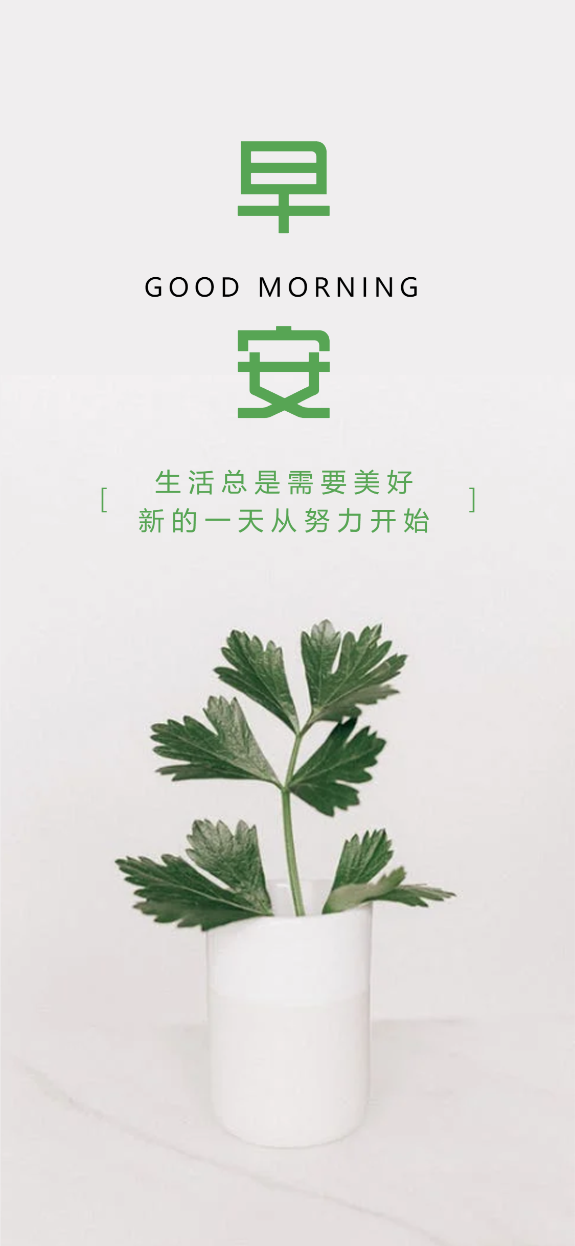 文艺清新早安你好每日一签