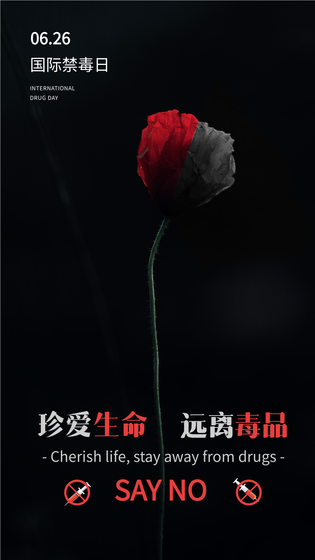 国际禁毒日暗黑罂粟海报
