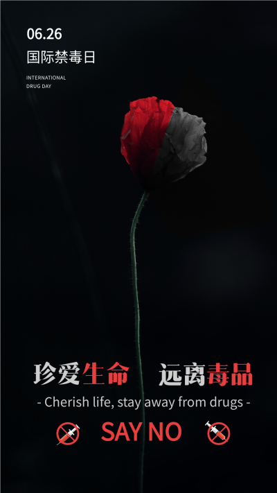 国际禁毒日暗黑罂粟海报