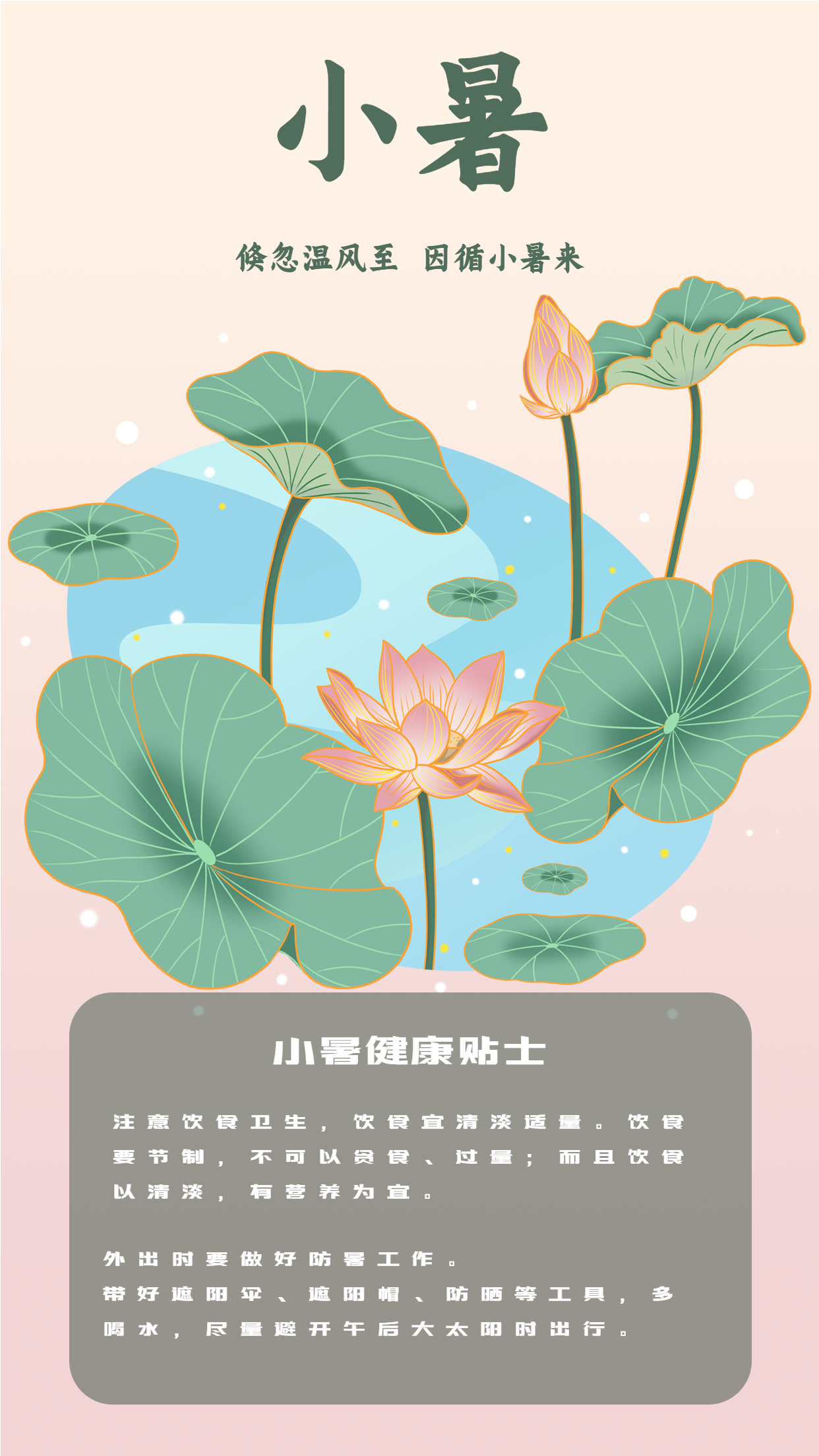 小暑二十四节气荷花国风海报