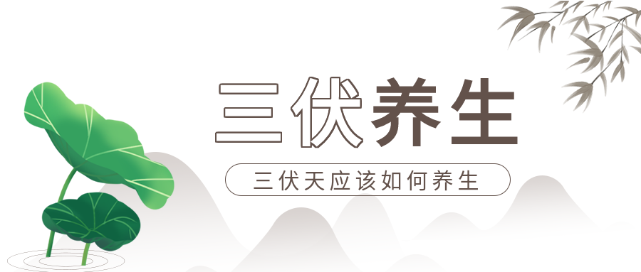 三伏天养生水墨风微信公众号封面首图