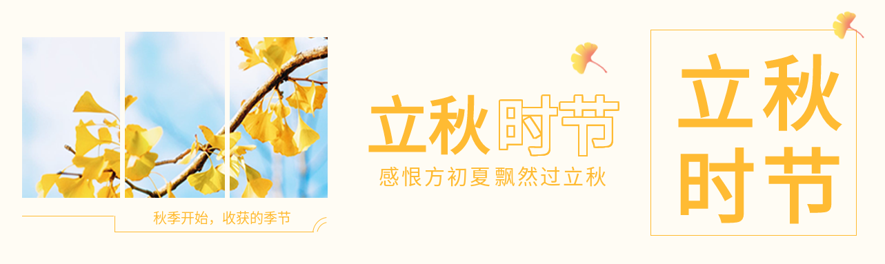 立秋时节银杏秋季收获的季节飘落公众号封面图