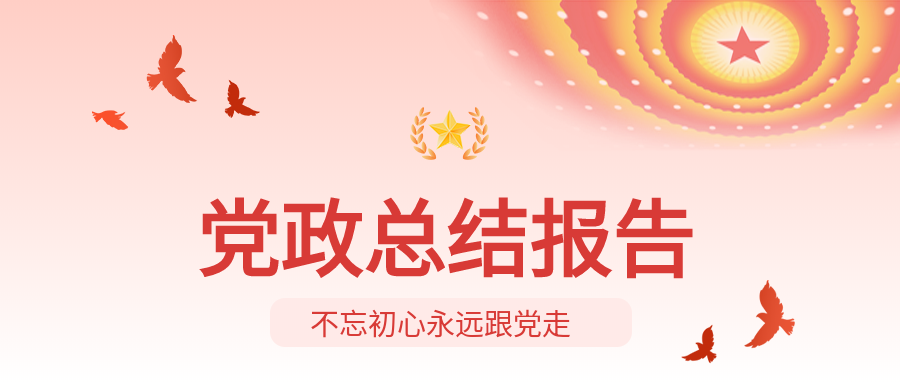 和平鸽不忘初心党政总结报告