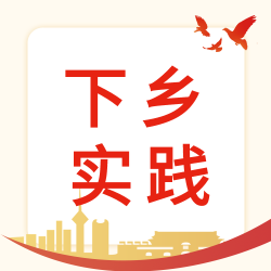 乡村振兴下乡实际鸽子城市封面图