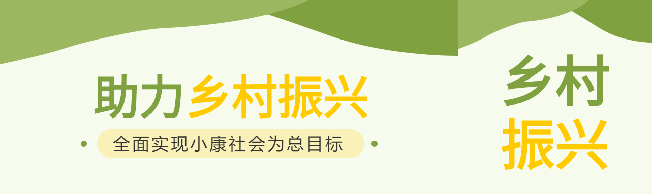 乡村振兴实现小康文明城市封面图