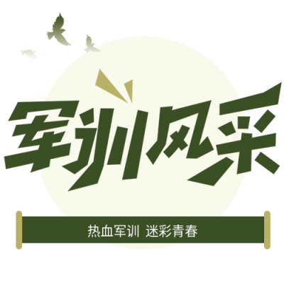 军训风采热血军训迷彩青春绿色条幅公众号次图