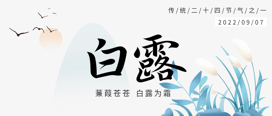 白露节气国风水墨二十四节气大雁山水芦苇封面图