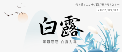 白露节气国风水墨二十四节气大雁山水芦苇封面图
