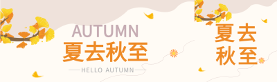 夏去秋至秋天银杏树曲线线条飘落秋季封面图