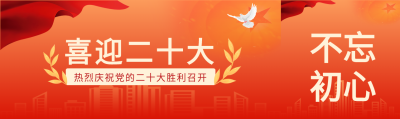不忘初心喜迎二十大城市剪影红旗和平鸽公众号封面图