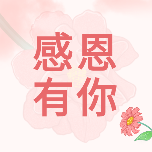 感恩有你简约鲜花线条唯美公众号次图