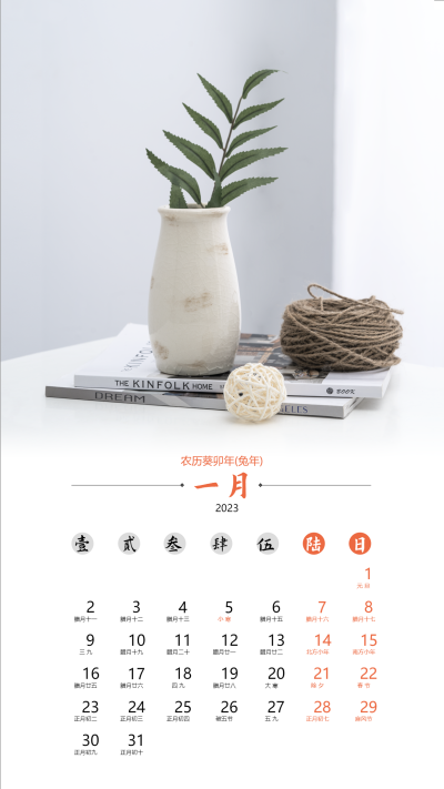 2023兔年一月清新简约日历海报
