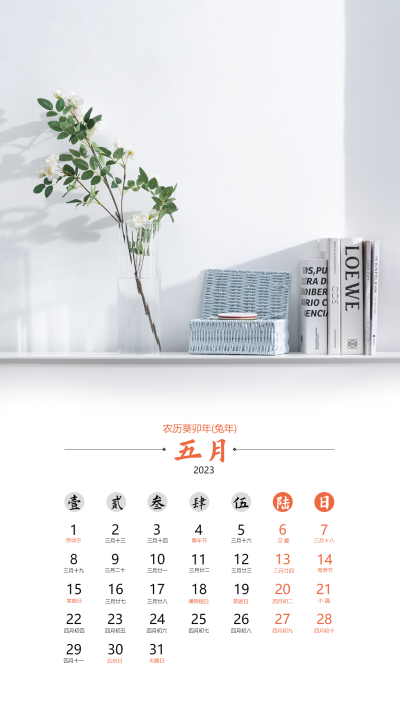 2023兔年五月清新简约日历海报