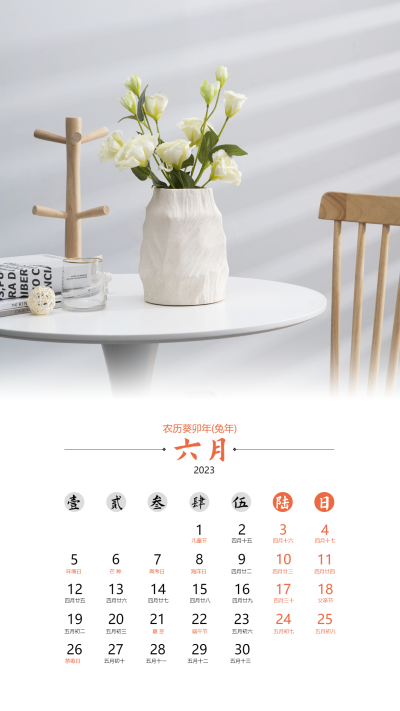 2023兔年六月清新简约日历海报