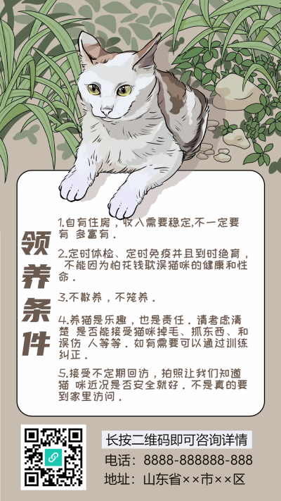 流浪动物领养条件手机海报