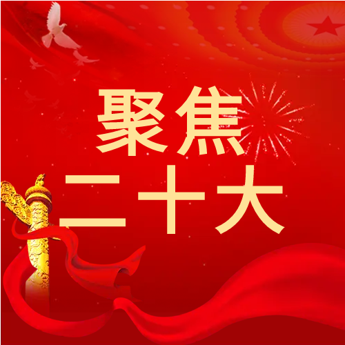聚焦二十大和平鸽红色党政公众号次图