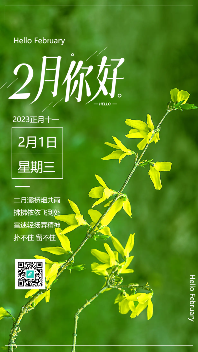 迎春花开2月1日手机海报