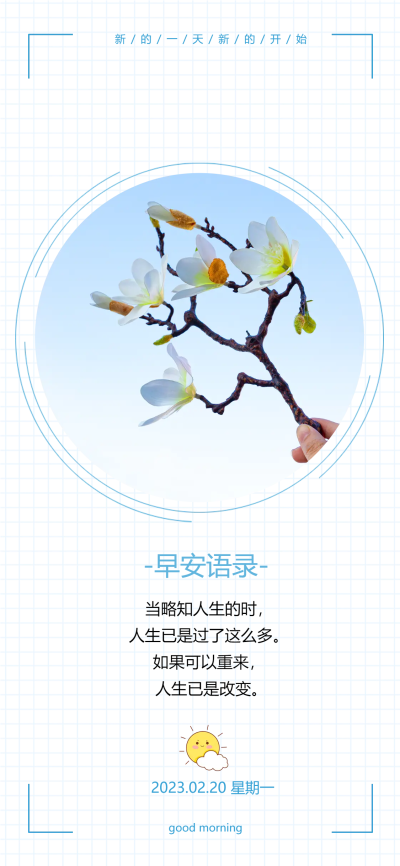 初春碧蓝天空玉兰花绽放每日一签