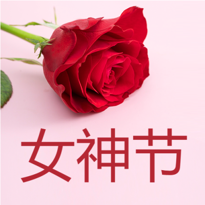 女神节单支漂亮红玫瑰微信公众号次图