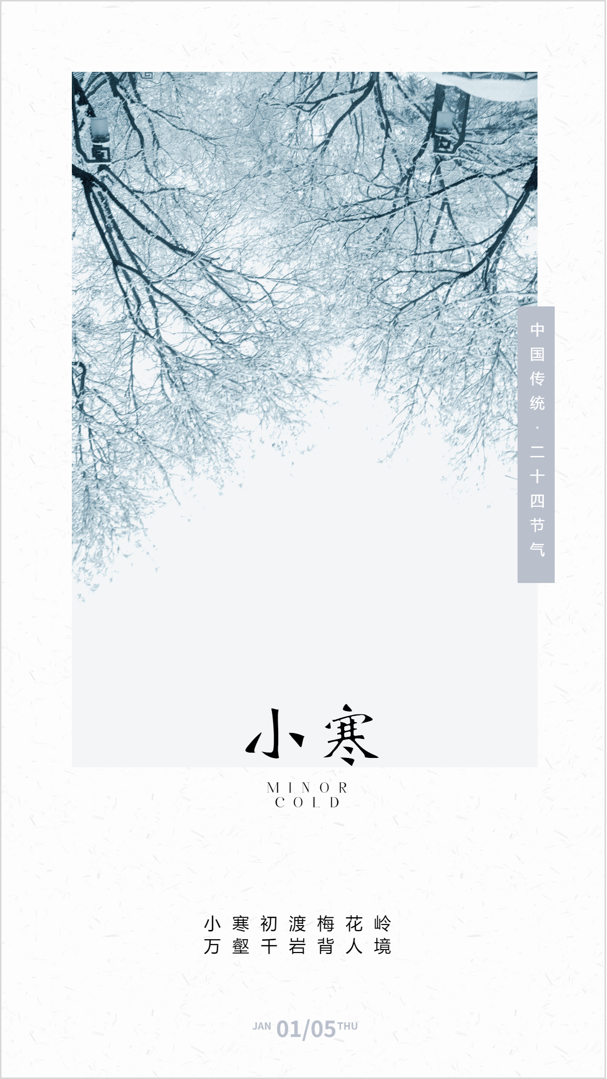 传统节日小寒冰冻树枝手机海报