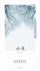传统节日小寒冰冻树枝手机海报