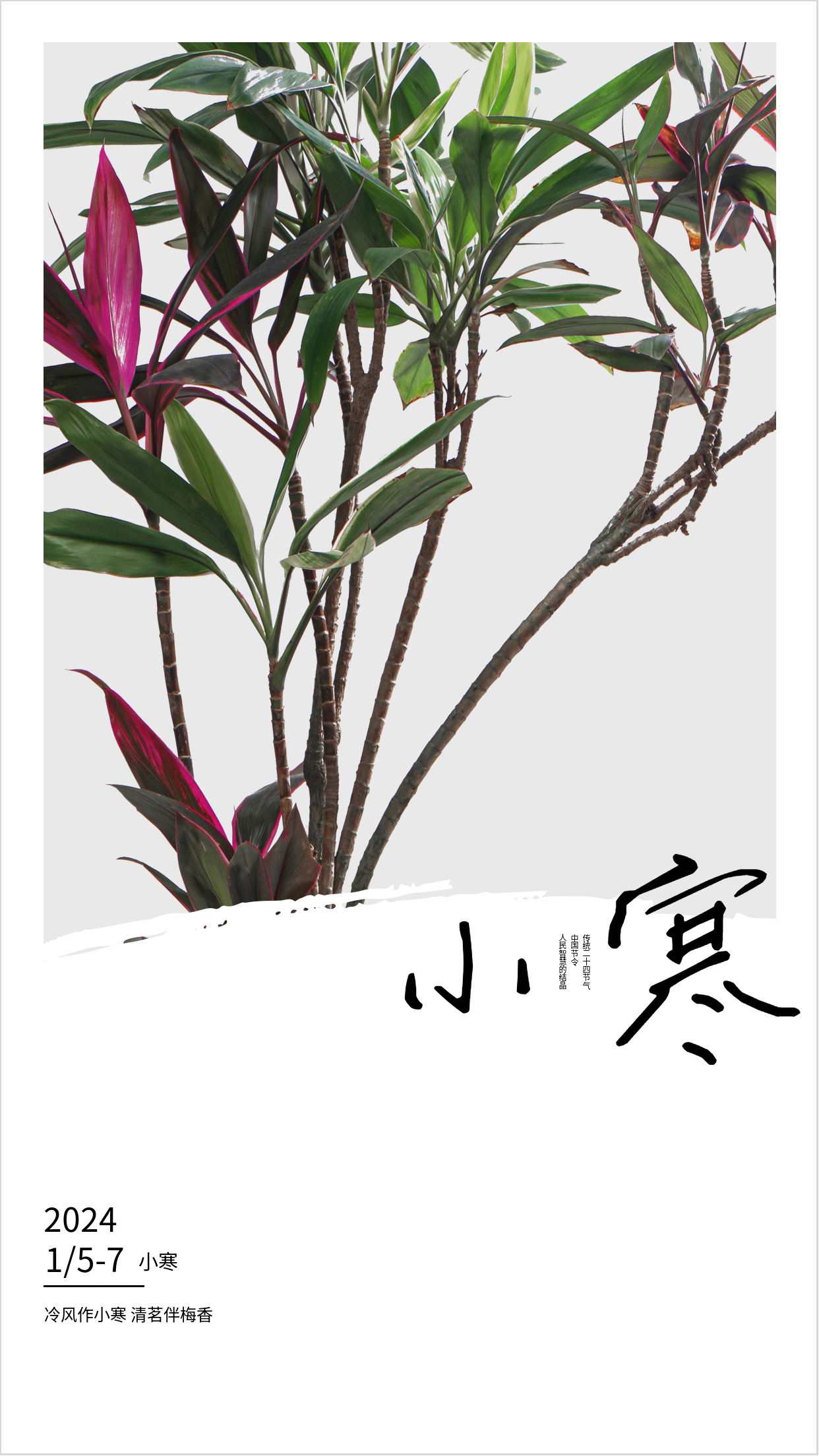 2023年二十四节气冬季小寒海报
