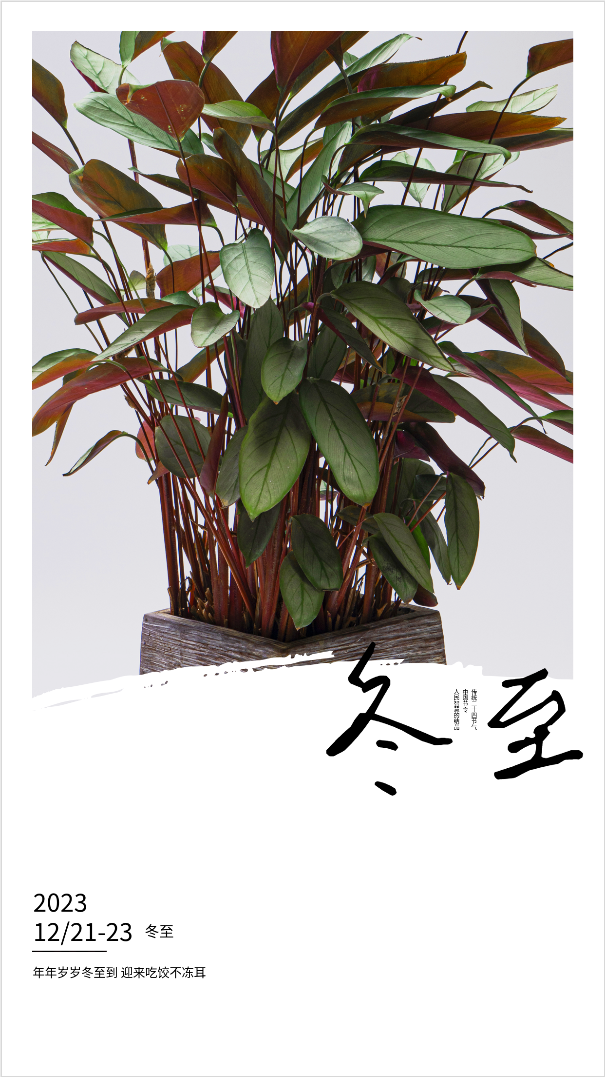 2023年二十四节气冬季冬至海报