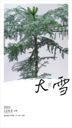 2023年二十四节气冬季大雪海报