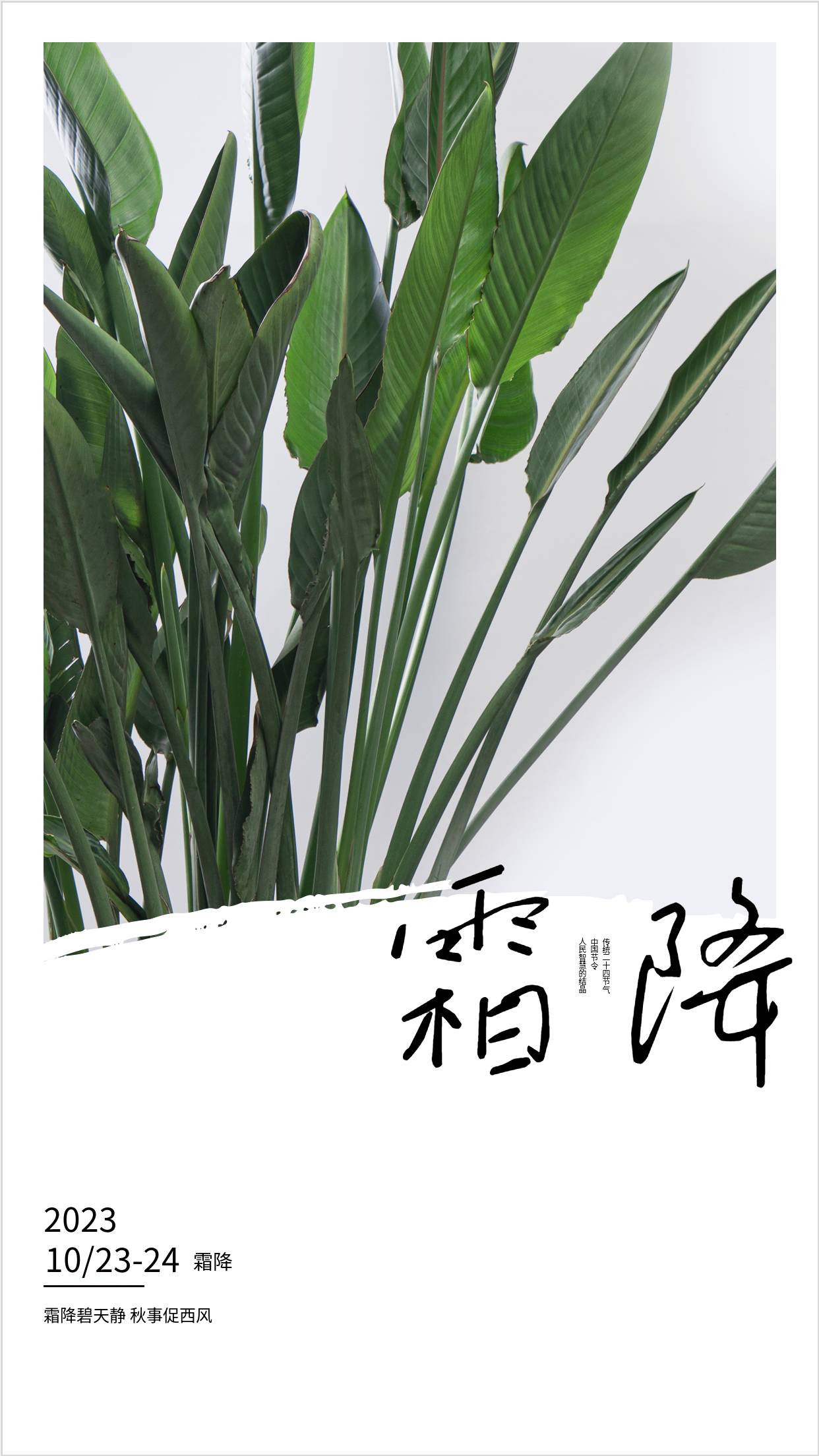 2023年冬季霜降节气手机海报