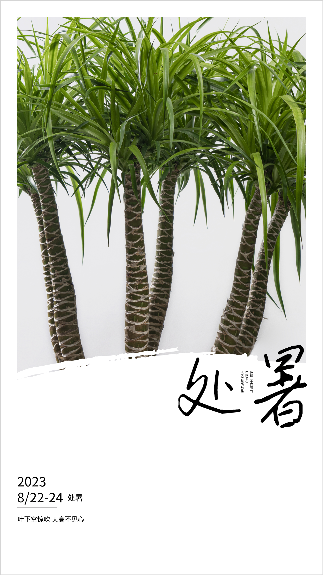 2023年二十四节气夏季处暑海报