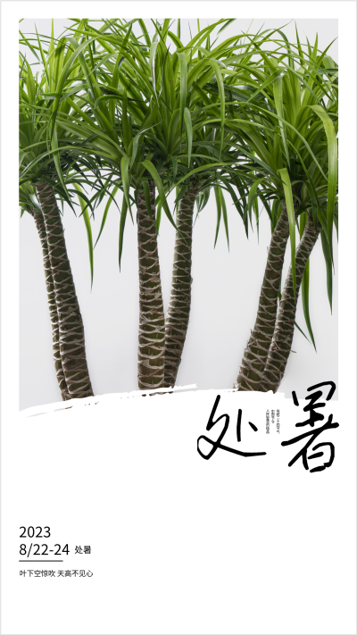 2023年二十四节气夏季处暑海报