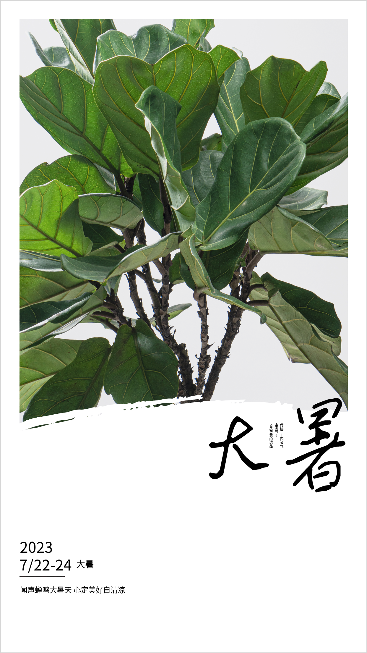 2023年二十四节气大暑海报