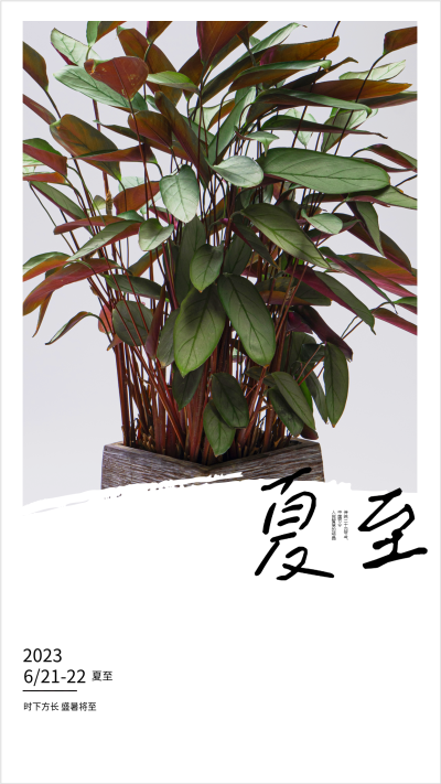 2023年二十四节气夏至海报