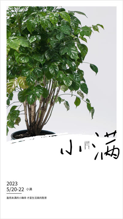 2023年二十四节气小满海报