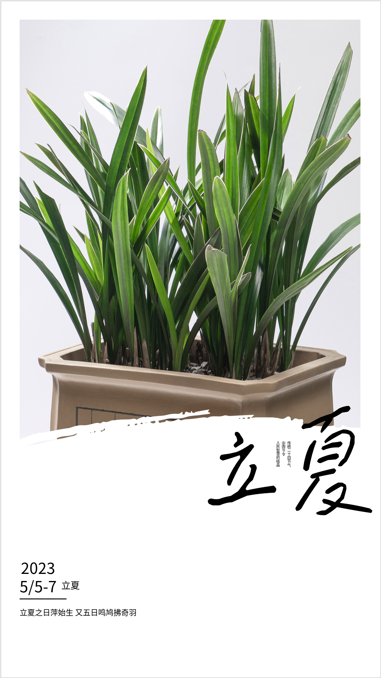 2023年二十四节气立夏海报