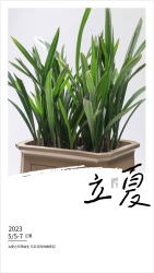 2023年二十四节气立夏海报