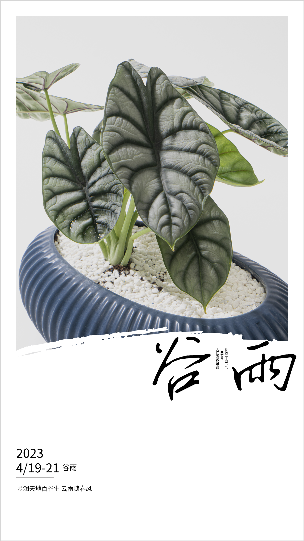 2023年二十四节气谷雨海报