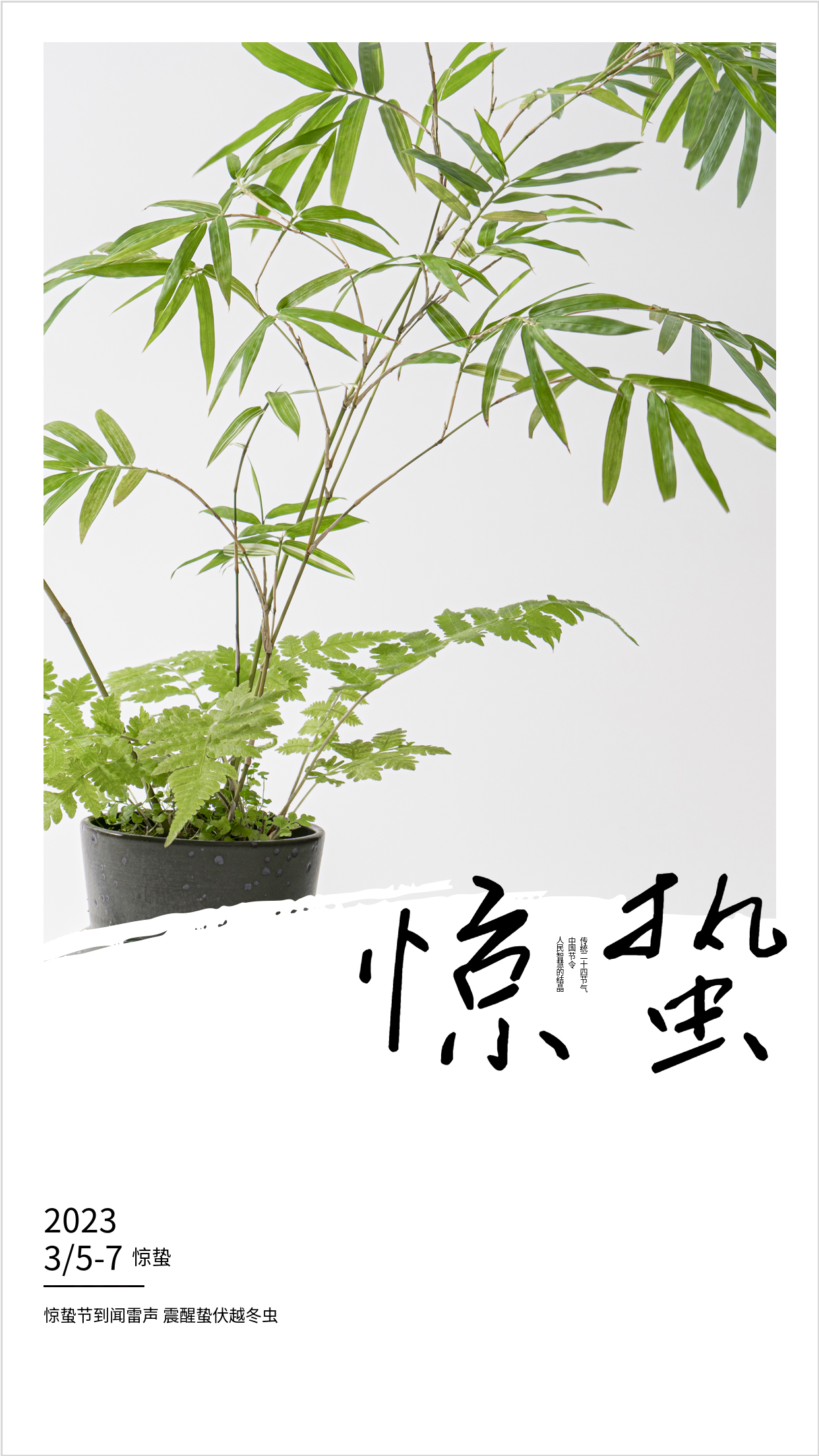 惊蛰2023年二十四节气海报