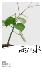 2023年二十四节气雨水海报