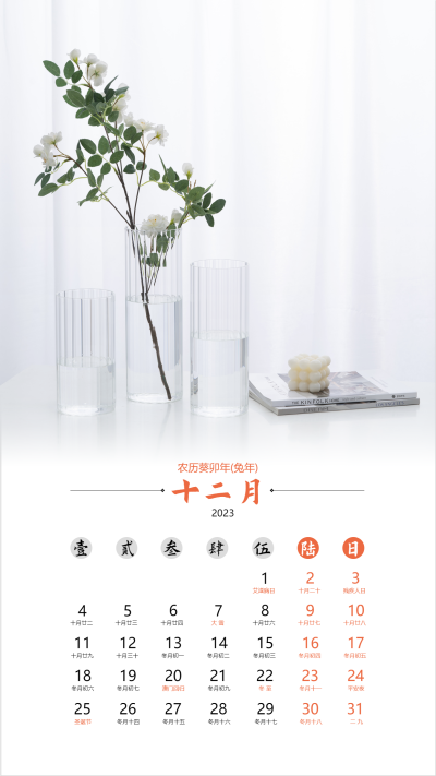 2023兔年十二月清新简约日历海报