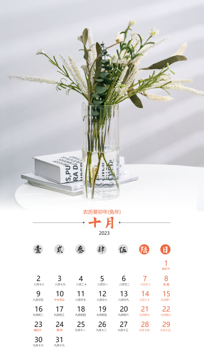 2023兔年十月清新简约日历海报