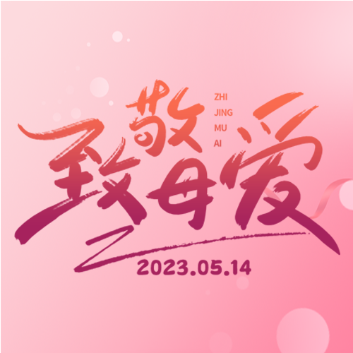 唯美粉色母亲节致敬母爱微信公众号次图