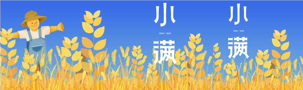 丰收的季节小满节气公众号封面图