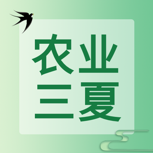 绿色系简约农业三夏微信公众号次图