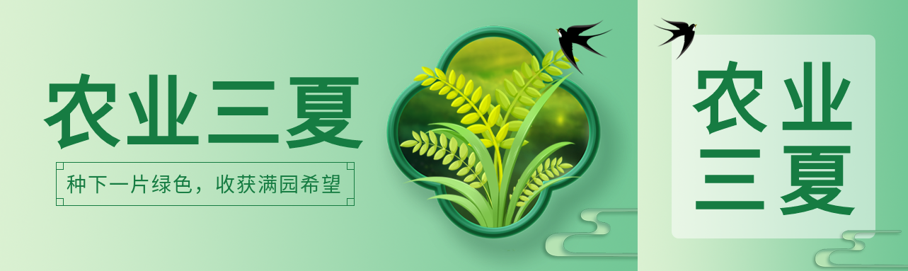 卡通小燕子农业三夏防汛抗旱公众号封面图