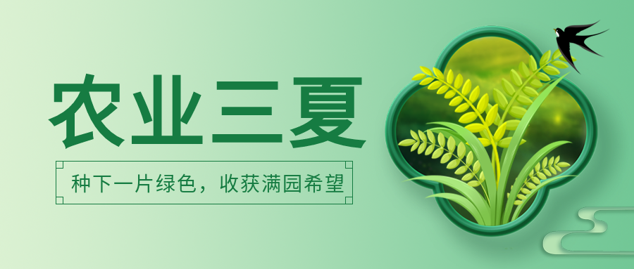 创意农业三夏满穗小麦微信公众号首图