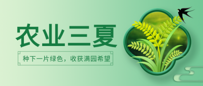 创意农业三夏满穗小麦微信公众号首图